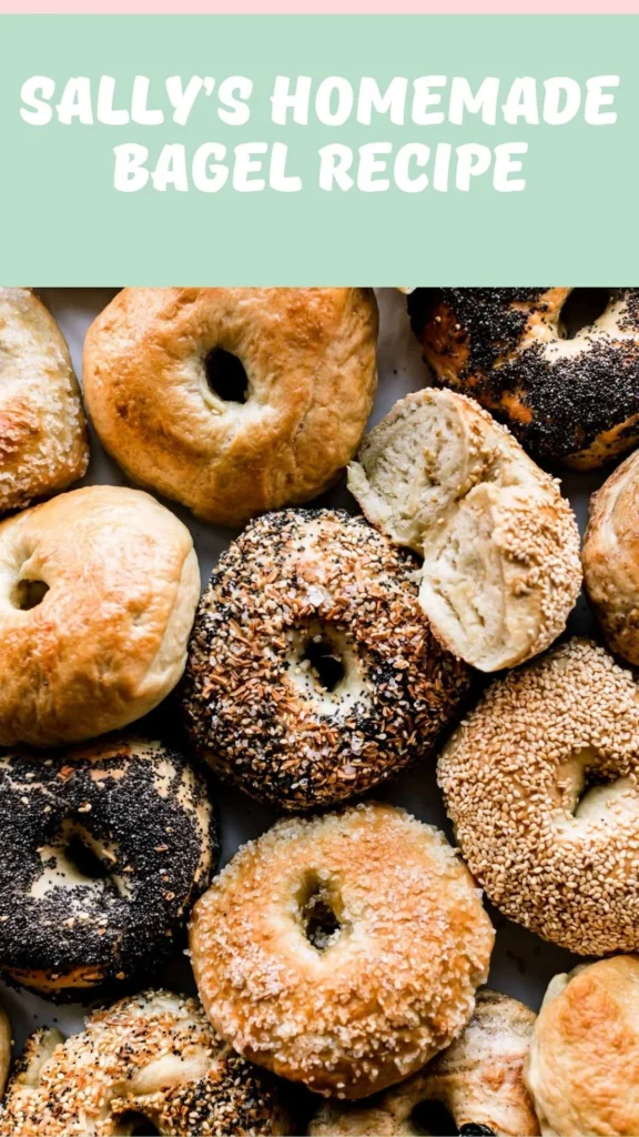 Delicious Sally’s Homemade Bagel