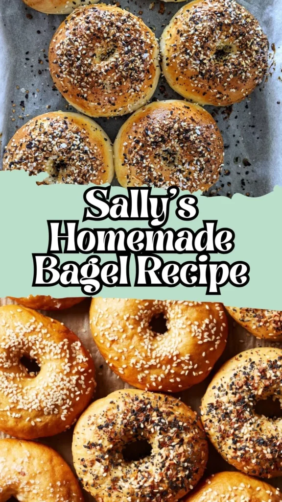 Homemade Sally’s Homemade Bagel