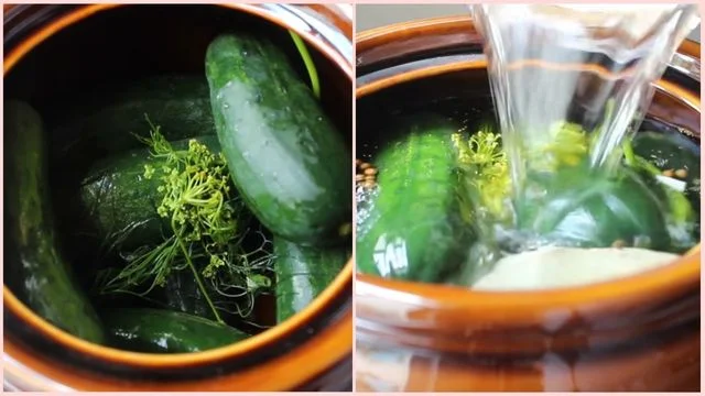 Layer the crock & Add the brine
