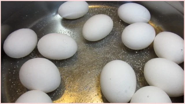 Preparing the Hard-Boiled Eggs