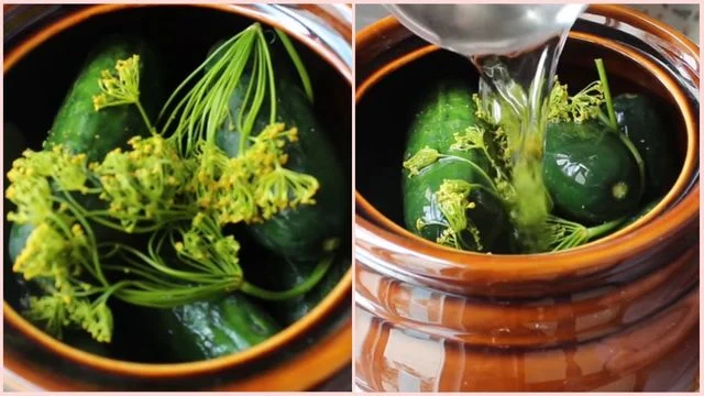 Layer the crock & Add the brine